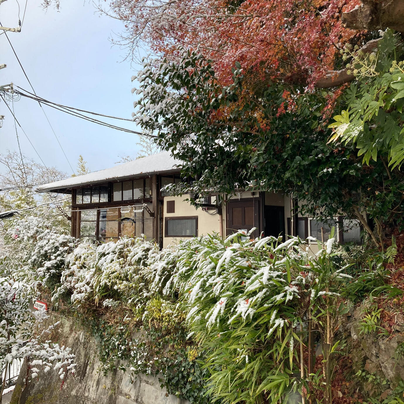 A short walk up the foothills from the Shirakawa shopping street lies the hidden cottage.